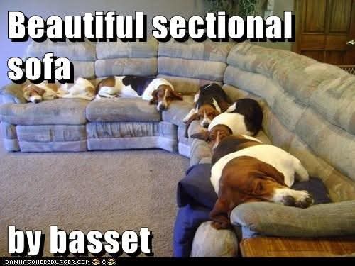 FB_IMG_1745275304526