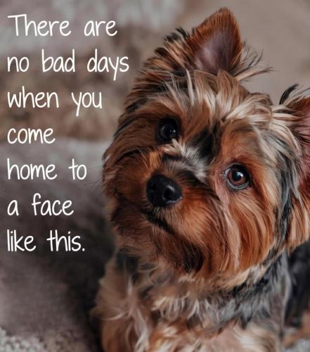 FB_IMG_1744236636776