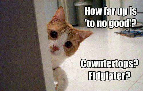 d9955bbb7b6256b8afcc2516ae0f900f