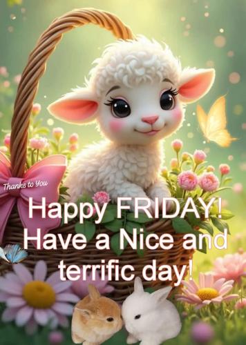 FB_IMG_1744378711449