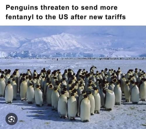 FB_IMG_1744329832826