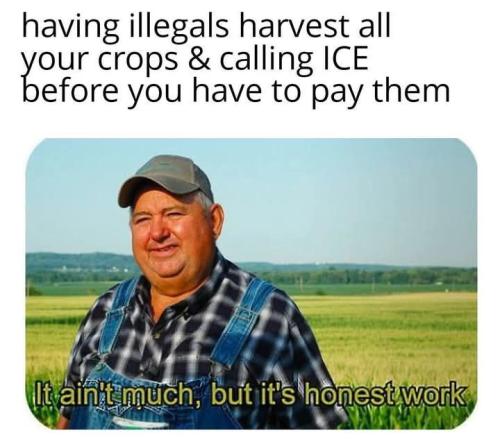 489906111_632369359774506_8305034410002127956_n