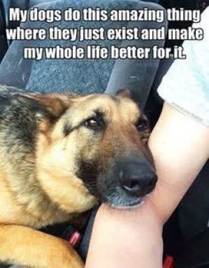 FB_IMG_1745945056351