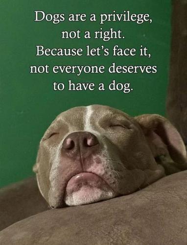 FB_IMG_1745348361718