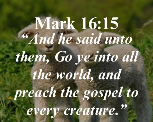 10135687-1ed7-462f-ab5a-d5770807695b