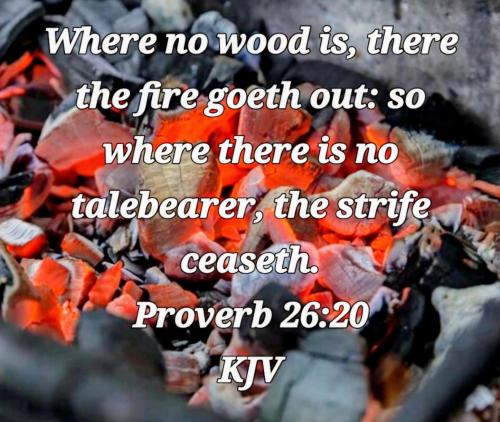 f306eac3-8017-4321-b5b1-a95f98e4bfc0