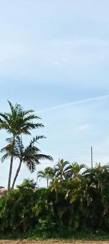 5284fae4-0f6d-456b-b887-10b8e2f15c8f