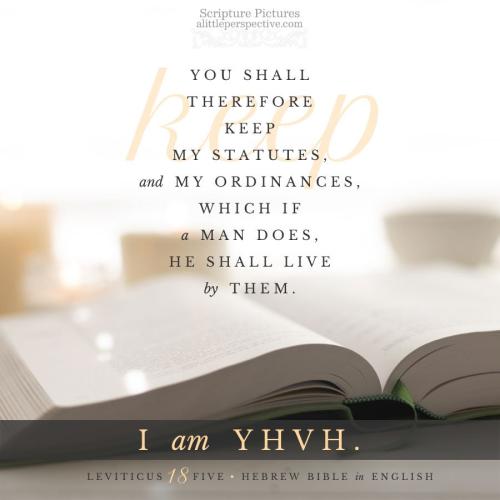 lev-18-5-JPS-unsplash