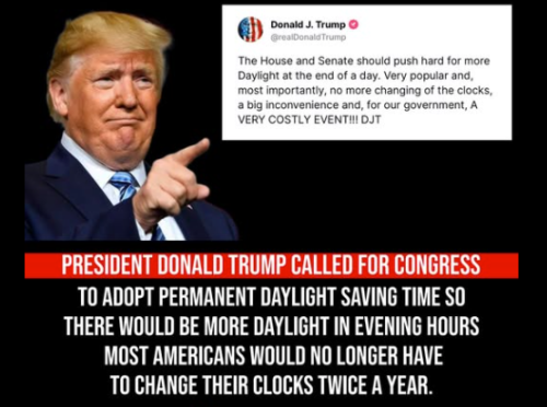 image_2025-04-12_101842860