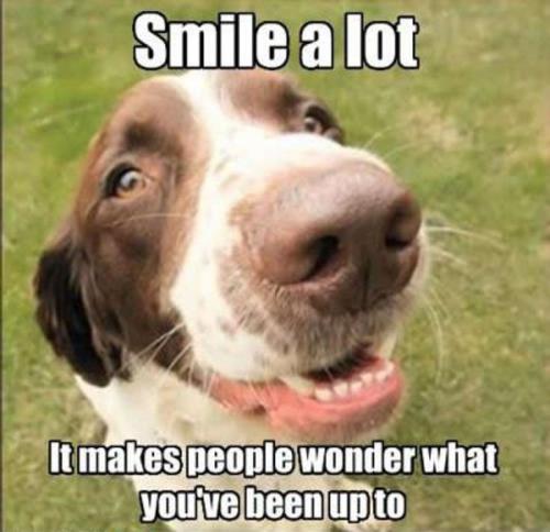 a09a08fcebf85c7ba9a48b8563d5dc29