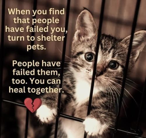 9a0c28596cb53c78821f296c07c21bde