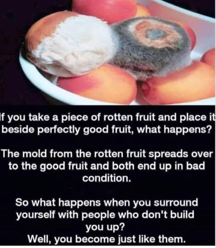 FB_IMG_1553743905633