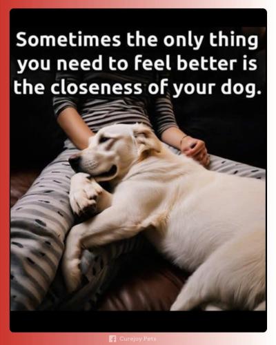 FB_IMG_1743628971987