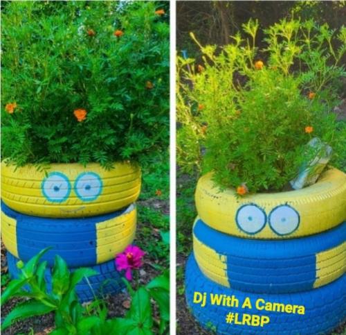 Screenshot_20250420_115234_Gallery