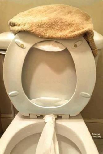 FB_IMG_1745080989050