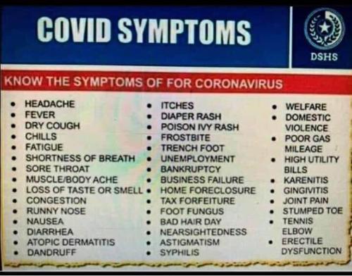 115804888_1401024233419555_2076985579896341154_n