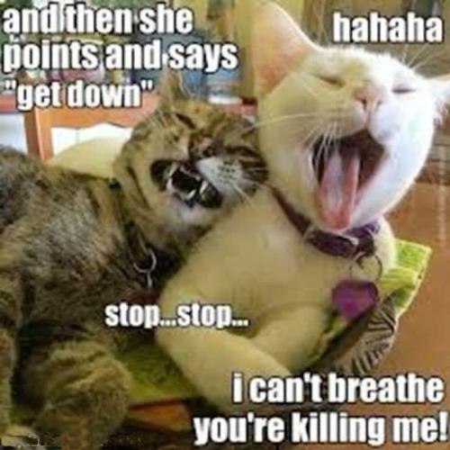 85e36f1ba00e720dacb6eb3286d6021e