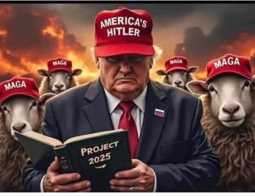 FB_IMG_1743974029568