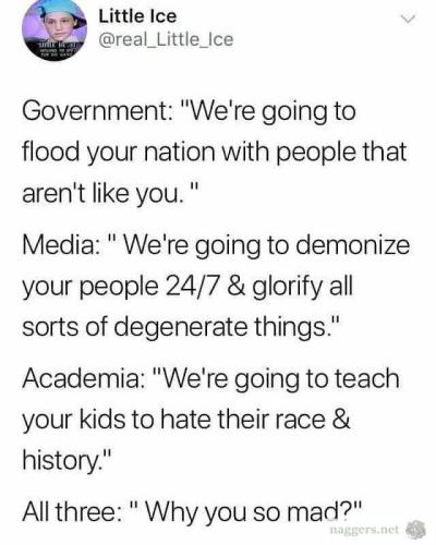 IMG_20250411_043914_182