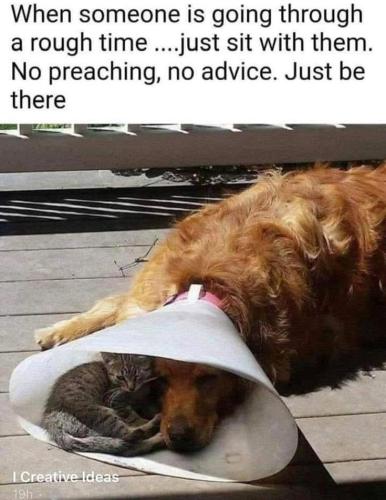 78498a60d9b16c6daeba807bed9378ac