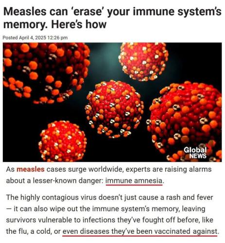 photo_2025-04-10_17-40-26