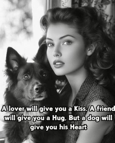 f766550e-869f-48e4-b007-a6f0b71b17b3