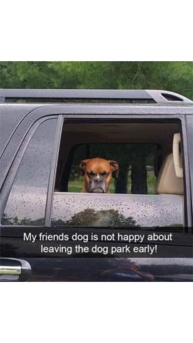 FB_IMG_1745775312175