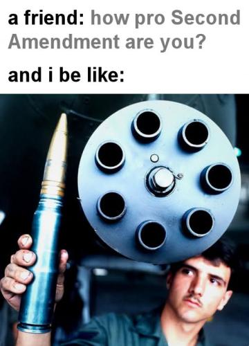 how pro second amendment are you07