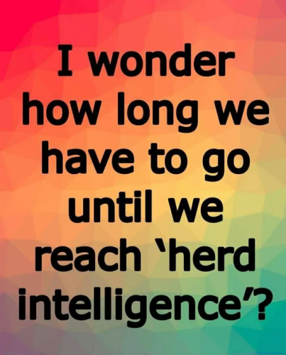 image_2025-04-24_063607854