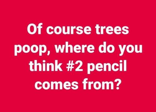 FB_IMG_1745880959975