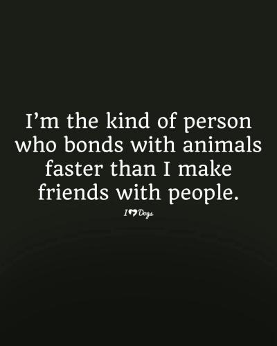 FB_IMG_1743800428300