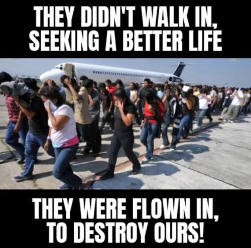 ILLEGAL ALIENS FLOWN