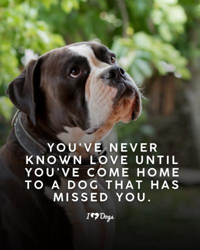 FB_IMG_1745436846332