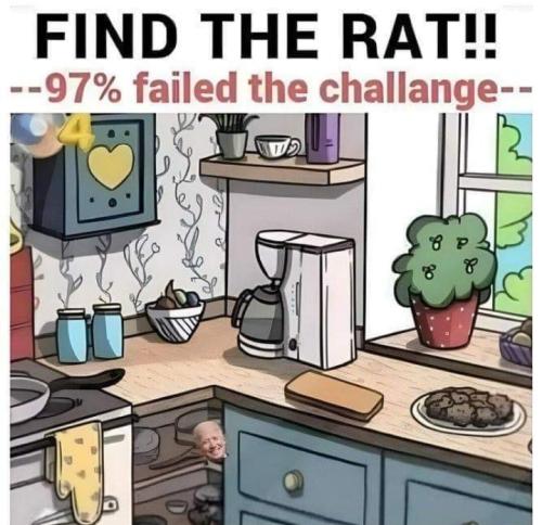 Screenshot_20250425_080059_Gallery