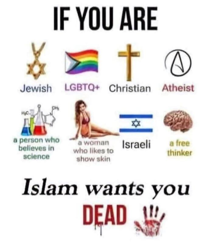 image_D4105C67-DE1C-4F51-9804-F9E971C00182