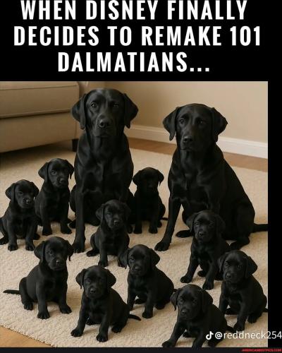 eef535b0c9d55e5147750f48f9a365bcf24ae960d64e51bde571b6f6400d7340_1