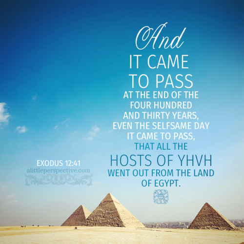 exo-12-41-KJV-pexels