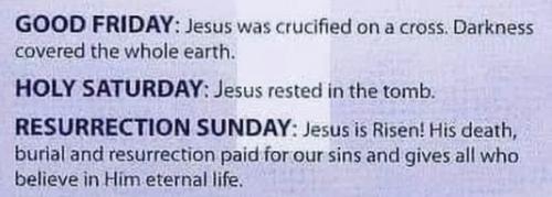 Image 27-03-2024 at 12.28