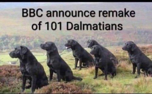 FB_IMG_1743926091672