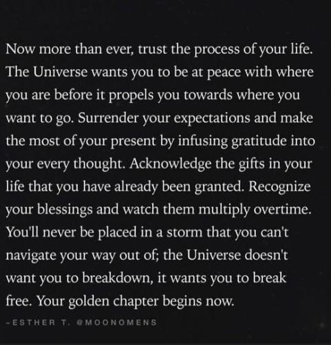 ,   418468121_2428009 (1)