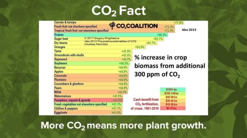 co2 fact