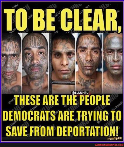 4b61a9b9231bbd780fc3f6b568dcf7a8d9a669ab0a44bfaa067696f89a54728c_1