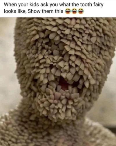 image_FF9596B3-052E-4C8F-9FE3-77348BB65033