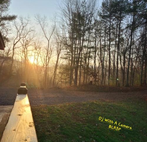 Screenshot_20250424_065348_Gallery