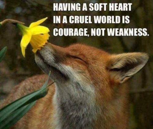 Screenshot_20250429_063702_Gallery