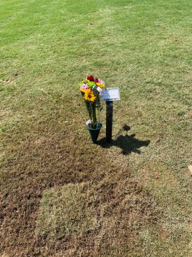 6C424C88-3ABB-4752-B6ED-ECEB41915A6C