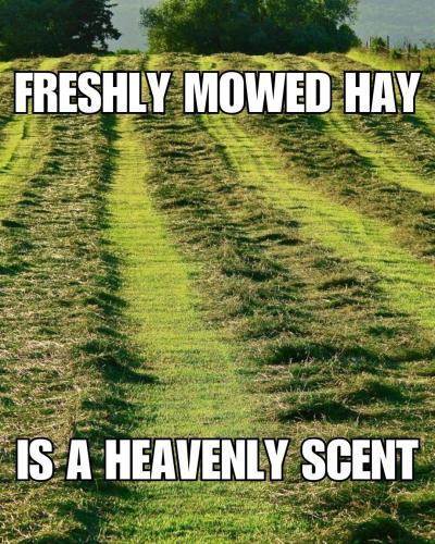 FB_IMG_1744138806078