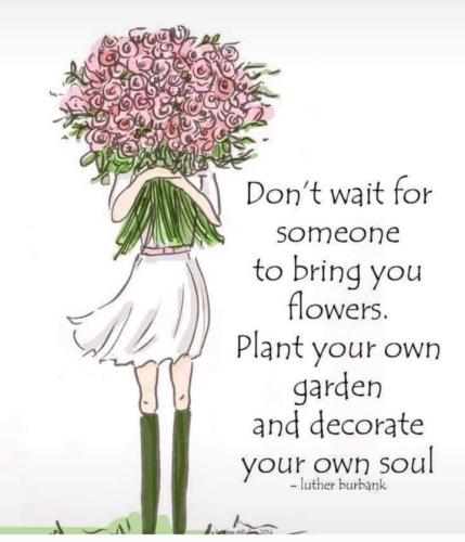 Screenshot_20250419_113626_Gallery