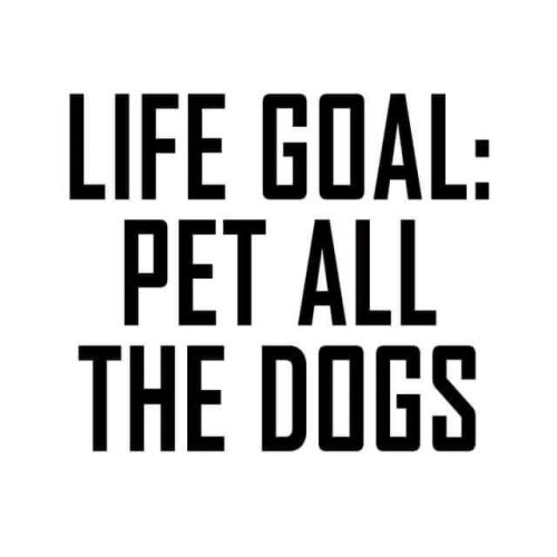 life-goal-pet-all-dogs