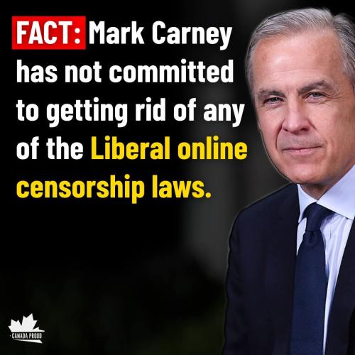 online censorship laws